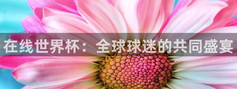 世预赛直播:在线世界杯:全球球迷的共同盛宴