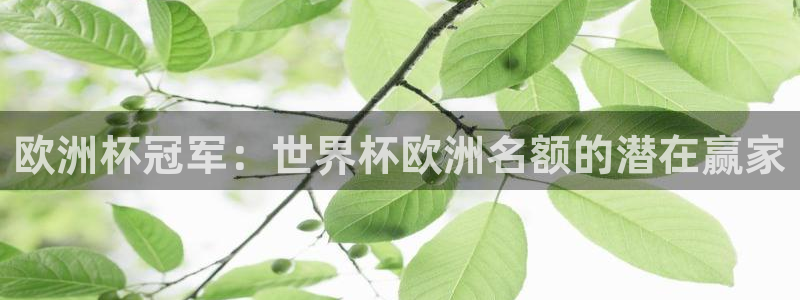 世界杯直播高清:欧洲杯冠军:世界杯欧洲名额的潜在赢家