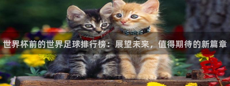 世界杯预赛赛程:世界杯前的世界足球排行榜:展望未来,值得期待的新篇章
