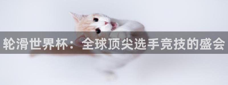 世界杯系列赛:轮滑世界杯:全球顶尖选手竞技的盛会