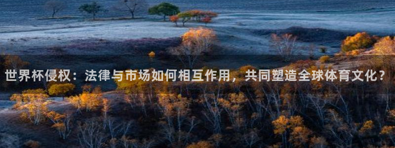 足球比分直播世界杯:世界杯侵权:法律与市场如何相互作用,共同塑造全球体育文化?