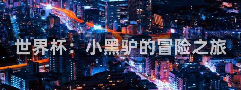 2026世界杯德国队阵容:世界杯:小黑驴的冒险之旅